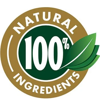 gmp-certified-500x300